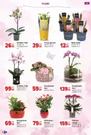 Catalog Carrefour Pagină 28
