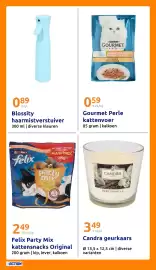 Action folder week 9 Pagina 19