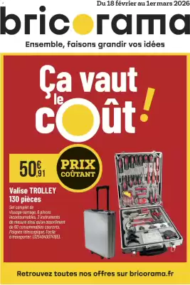 Catalogue Bricorama (valable jusqu'au 1-03)