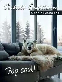 Catalogue Cocktail Scandinave page 1