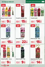 Catalog Carrefour Market săptămâna 8 Pagină 38