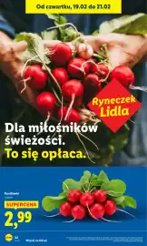 Lidl gazetka Strona 22