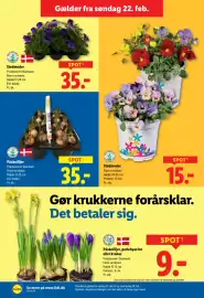 Lidl tilbudsavis uge 9 Side 33