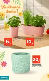 Dealz gazetka tydzień 8 Strona 24
