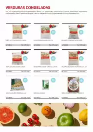 Folleto GM Cash & Carry Página 5