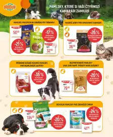 Globus leták Strana 4