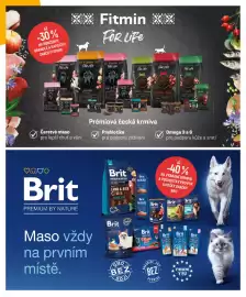 Globus leták Strana 5