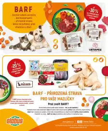 Globus leták Strana 8