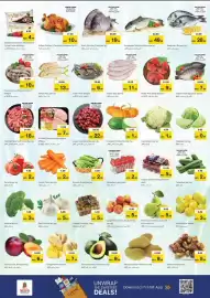 Nesto catalogue Page 2