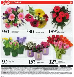 Loblaws flyer week 8 Page 9