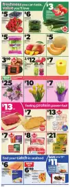 Independent Grocer flyer week 8 Page 5