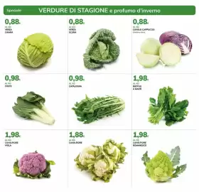 Volantino Basko Pagina 2