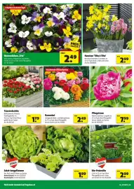 Eurogast Grissemann Flugblatt Seite 2