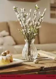 Catalog Sinsay Pagină 4