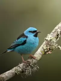 Catálogo Nikon semana 8 Página 2