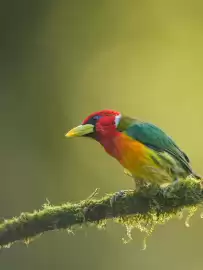 Catálogo Nikon semana 8 Página 3