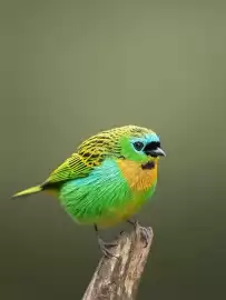 Catálogo Nikon semana 8 Página 4