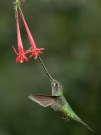 Catálogo Nikon semana 8 Página 5