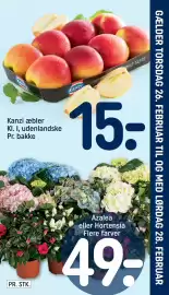 REMA 1000 tilbudsavis uge 9 Side 27