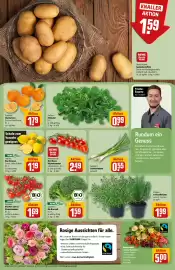 REWE Center Prospekt woche 8 Seite 11