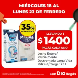 Folleto Supermercados DIA semana 8 Página 4