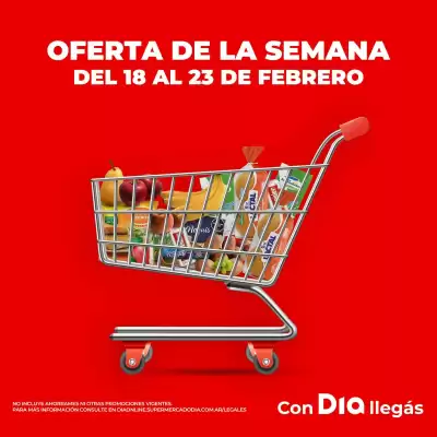 Folleto Supermercados DIA