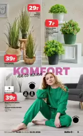 Netto gazetka tydzień 8 Strona 5