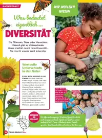 Billa Flugblatt Seite 18