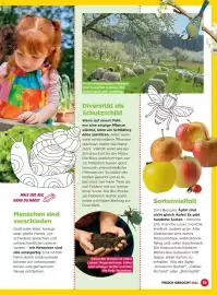 Billa Flugblatt Seite 19