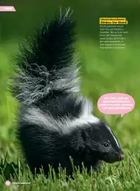 Billa Flugblatt Seite 22