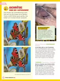 Billa Flugblatt Seite 24