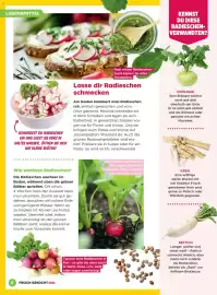 Billa Flugblatt Seite 8