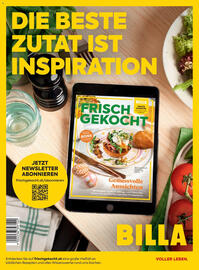 Billa Flugblatt Seite 172