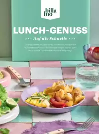 Billa Flugblatt Seite 103