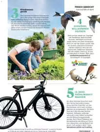 Billa Flugblatt Seite 11