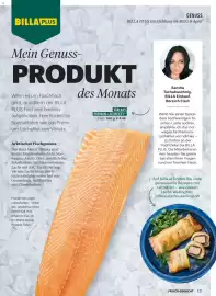 Billa Flugblatt Seite 119