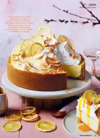 Billa Flugblatt Seite 123