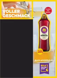 Billa Flugblatt Seite 166