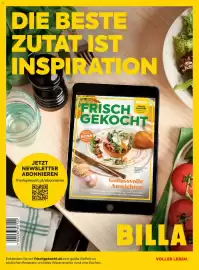 Billa Flugblatt Seite 172