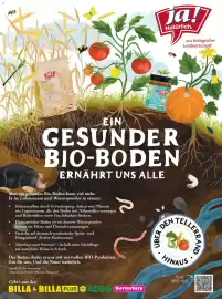 Billa Flugblatt Seite 74