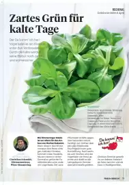 Billa Flugblatt Seite 77