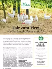 Billa Flugblatt Seite 94