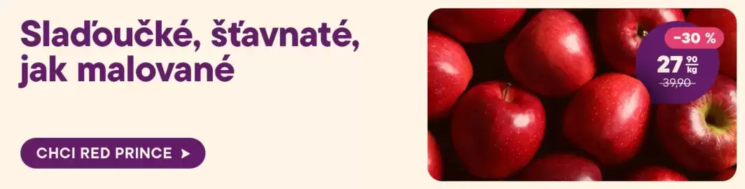 Košík leták týden 8 Strana 2