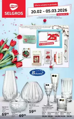 Catalog Selgros (valid până la 5-03)