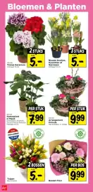 Vomar Voordeelmarkt folder Pagina 33