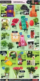 IGA flyer week 8 Page 3