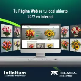 Catálogo Telmex Página 1