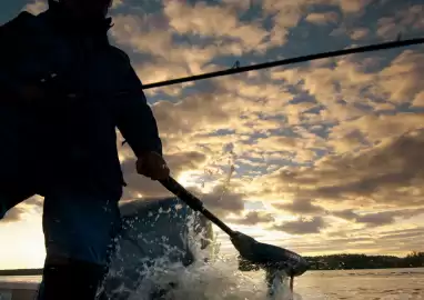 Catalogue Yamaha page 15