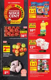 Biedronka gazetka Strona 1