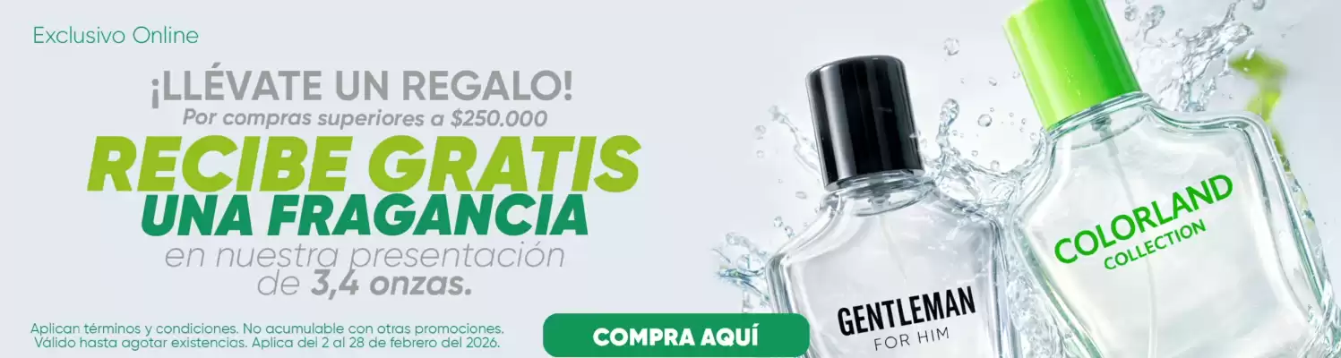 Catálogo Senthia (válido hasta 28-02)